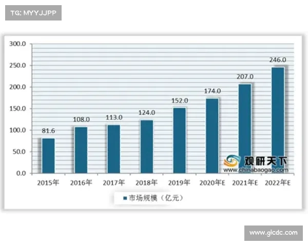 足球转会市场风险管理策略研究与应对措施分析