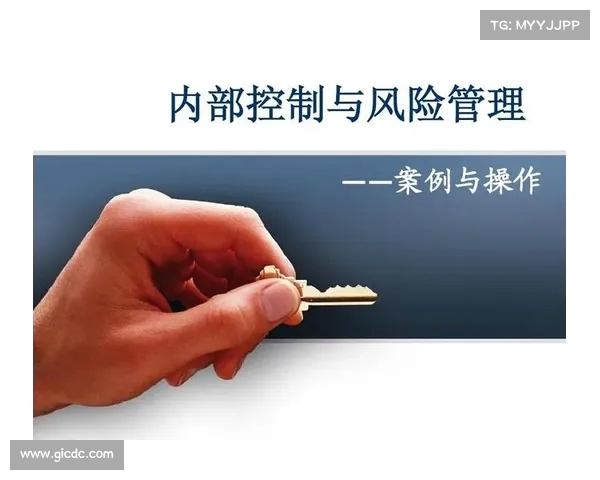 足球转会市场风险管理策略研究与应对措施分析 足球转会市场风险管理策略研究与应对措施分析