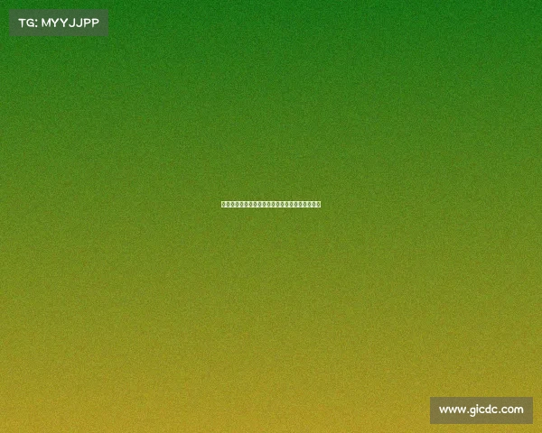 英超翻译字幕：提升观赛体验与跨文化交流的桥梁