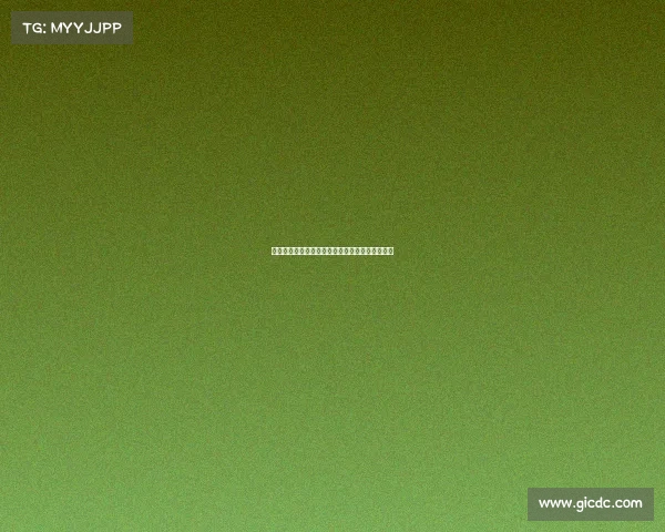 德甲揭幕战激情碰撞新赛季强强对决引爆球迷热情